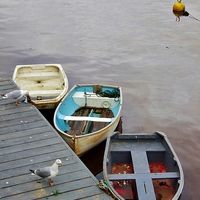 Buy canvas prints of Three little boats by macaulay sanders