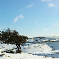 Buy canvas prints of  Snowy hills  by macaulay sanders