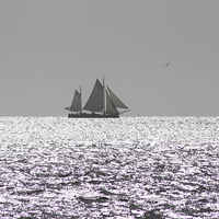 Buy canvas prints of Sailing by Piet Peters