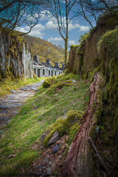 Discover The Ruins of Dinorwic Quarry Picture Board by Darren Wilkes