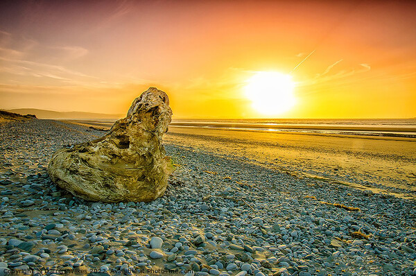 Kinmel bay Sunset North Wales  Picture Board by Darren Wilkes