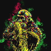 Buy canvas prints of Gorilla Art by Darren Wilkes