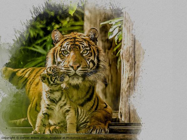 Tiger Watercolour Art Picture Board by Darren Wilkes