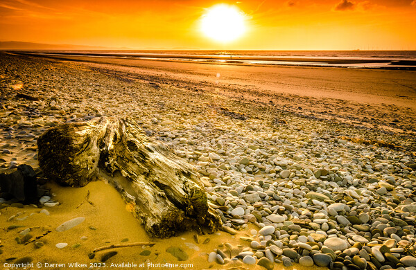 Drift Wood Kinmel Bay Beach Sunset Picture Board by Darren Wilkes