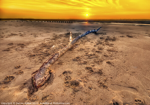 Serene Sunset on Kinmel Bay Beach Picture Board by Darren Wilkes