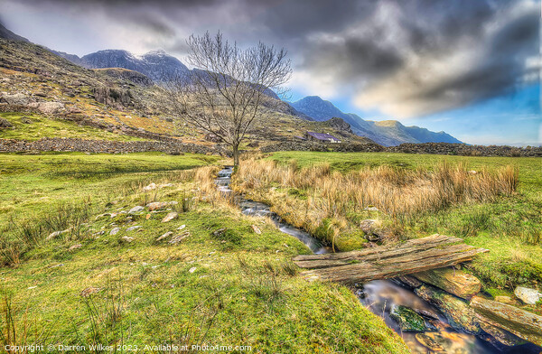 Serene Wooden Bridge in the Heart of Snowdonia Picture Board by Darren Wilkes