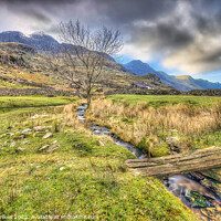 Buy canvas prints of Serene Wooden Bridge in the Heart of Snowdonia by Darren Wilkes