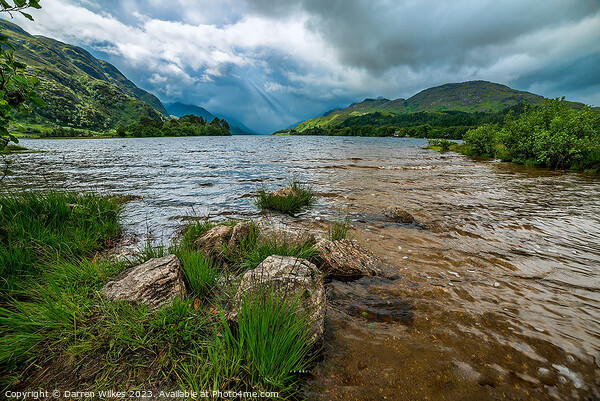 Loch Shiel - Highlands - Scotland  Picture Board by Darren Wilkes