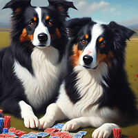 Buy canvas prints of Border Collie Playing Cards by Darren Wilkes