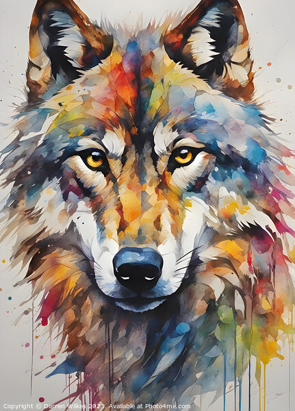 Mesmerising American Grey Wolf Art Picture Board by Darren Wilkes