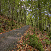 Buy canvas prints of  Autumn Road To Llyn Crafnant by Darren Wilkes