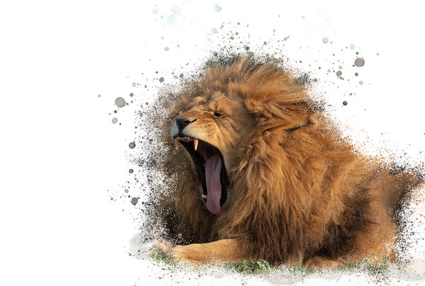 Majestic Roar Picture Board by Darren Wilkes