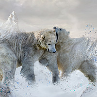 Buy canvas prints of Polar Bear Mountains by Darren Wilkes