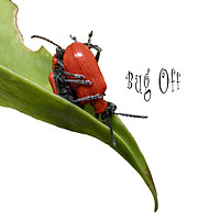 Buy canvas prints of Bug off by Darren Wilkes
