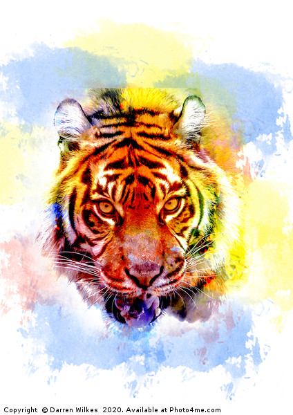 Colourful Tiger Print  Picture Board by Darren Wilkes
