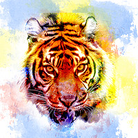 Buy canvas prints of Colourful Tiger Print  by Darren Wilkes