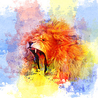 Buy canvas prints of African Lion Pop Art by Darren Wilkes