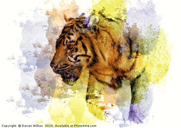 Digital Tiger Art  Picture Board by Darren Wilkes