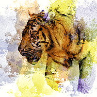 Buy canvas prints of Digital Tiger Art  by Darren Wilkes