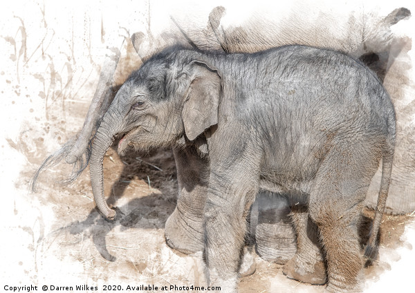 Indian Elephant  Picture Board by Darren Wilkes