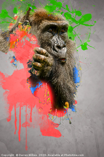 Lowland Gorilla Digital Art Picture Board by Darren Wilkes