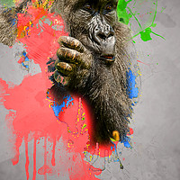 Buy canvas prints of Lowland Gorilla Digital Art by Darren Wilkes