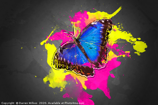 Blue Morpho Butterfly Art Picture Board by Darren Wilkes