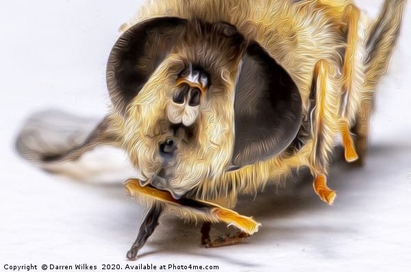Honey Bee  Picture Board by Darren Wilkes