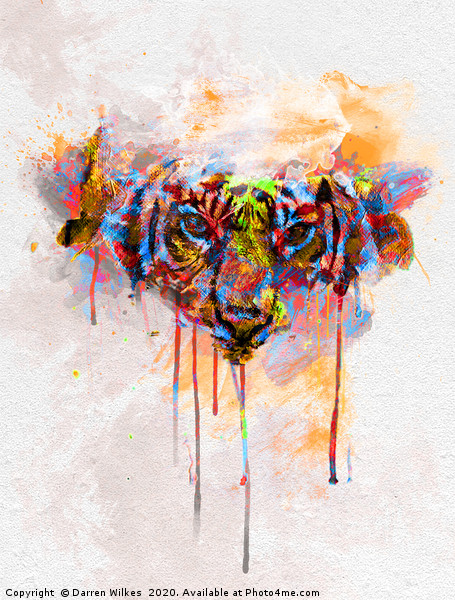 Tiger Spill Pop Art  Picture Board by Darren Wilkes