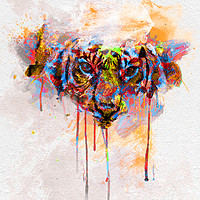 Buy canvas prints of Tiger Spill Pop Art  by Darren Wilkes