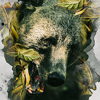Buy canvas prints of Bear Leaves by Darren Wilkes
