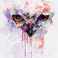 Buy canvas prints of Eagle Owl Art by Darren Wilkes