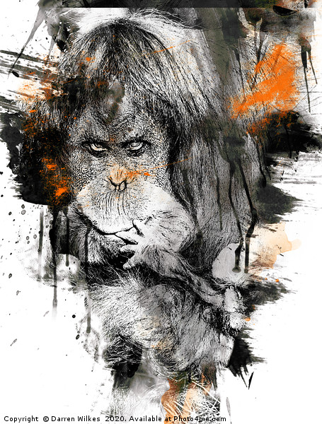 Orangutan Art Picture Board by Darren Wilkes