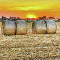 Buy canvas prints of round bales in Modena, Italy by Guido Parmiggiani