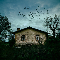 Buy canvas prints of The little house on top by Guido Parmiggiani