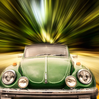 Buy canvas prints of Beetle by Guido Parmiggiani