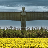 Buy canvas prints of The Angel of the North by Guido Parmiggiani