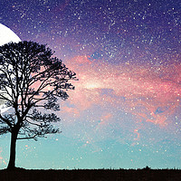 Buy canvas prints of milky way, stars, moon and tree by Guido Parmiggiani