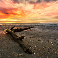 Buy canvas prints of Low tide at sunset. by Guido Parmiggiani