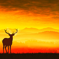 Buy canvas prints of Silhouette of a deer by Guido Parmiggiani