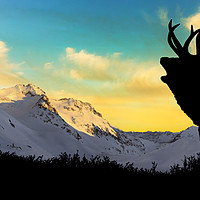Buy canvas prints of Deer with snowy mountains in the background, by Guido Parmiggiani