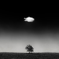 Buy canvas prints of One day a cloud meets a oak tree, so strong friend by Guido Parmiggiani