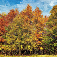 Buy canvas prints of Trees, the colors of autumn by Guido Parmiggiani
