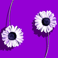 Buy canvas prints of Plant flower, purple composition by Guido Parmiggiani