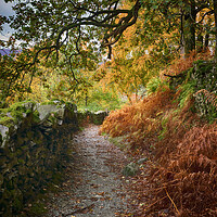 Buy canvas prints of Autumn Lake District path by Ceri Jones
