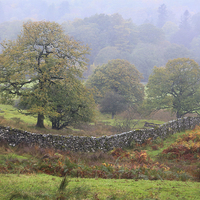 Buy canvas prints of Cumbrian Landscape by Ceri Jones
