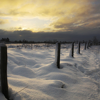 Buy canvas prints of Winter Sunrise by Ceri Jones