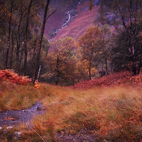 Buy canvas prints of Autumn Lake District Landscape by Ceri Jones