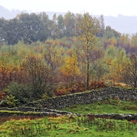 Buy canvas prints of Autumn Lake District scene by Ceri Jones