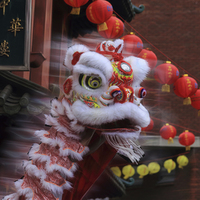 Buy canvas prints of  New Year Chinese Lion by Ceri Jones